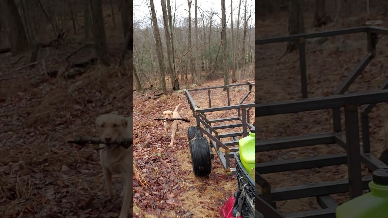 First road test on the walking axle trailer