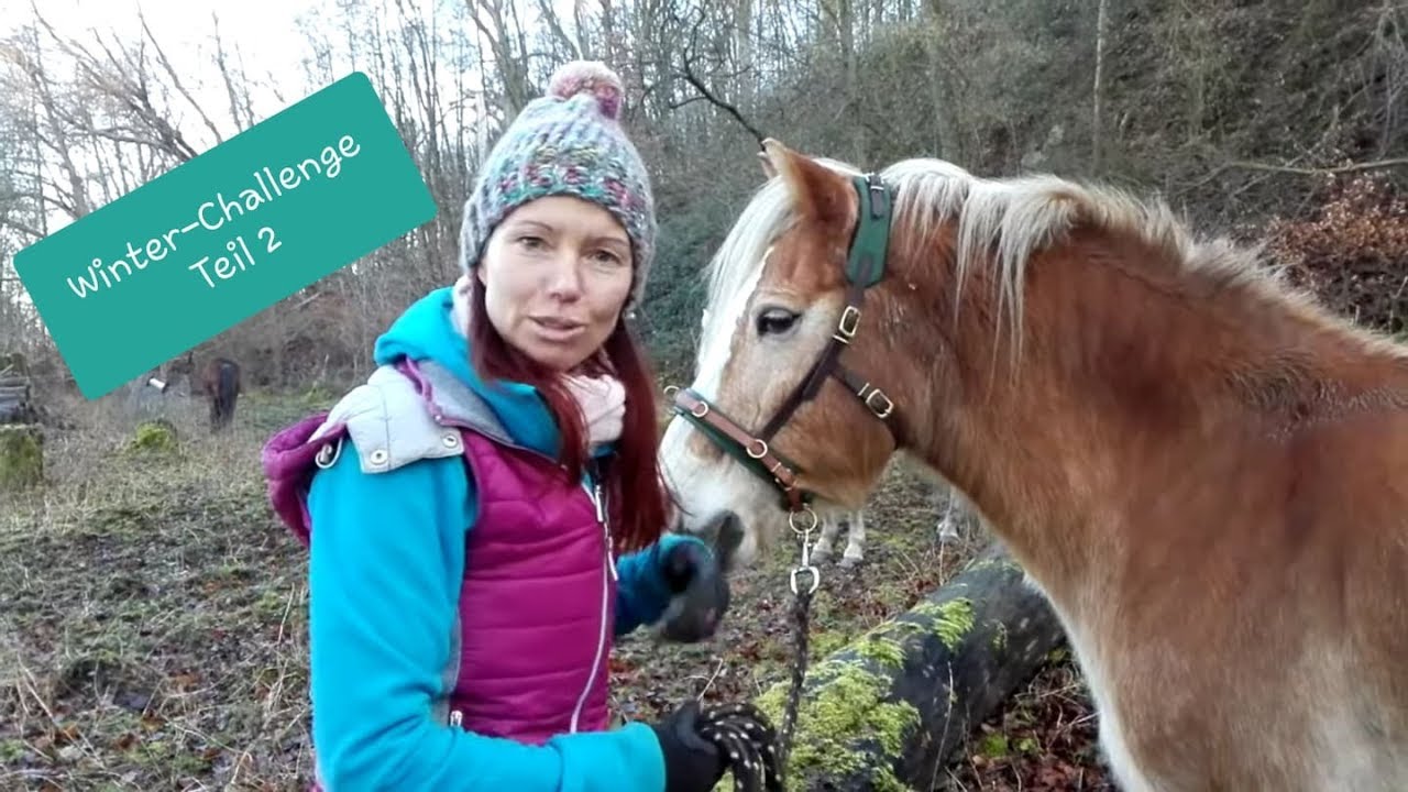 Deine Winter-Challenge (2) - Kappzaumarbeit mal anders