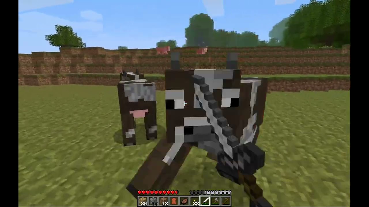 Minecraft | Beta 1.7.3 | Part 4