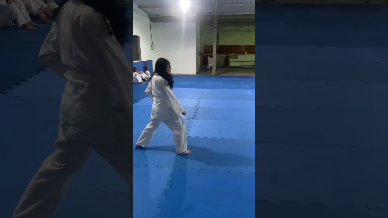 Heian Shodan -Paz e Tranquilidade n&deg;1 ⛩️