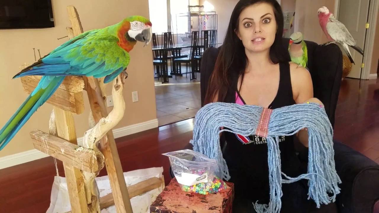 A great DIY toy for you parrots | PARRONT TIP TUESDAY
