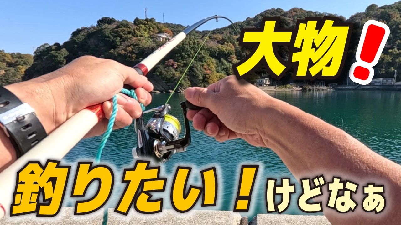 初心者が経験した車中泊2日目の記録です