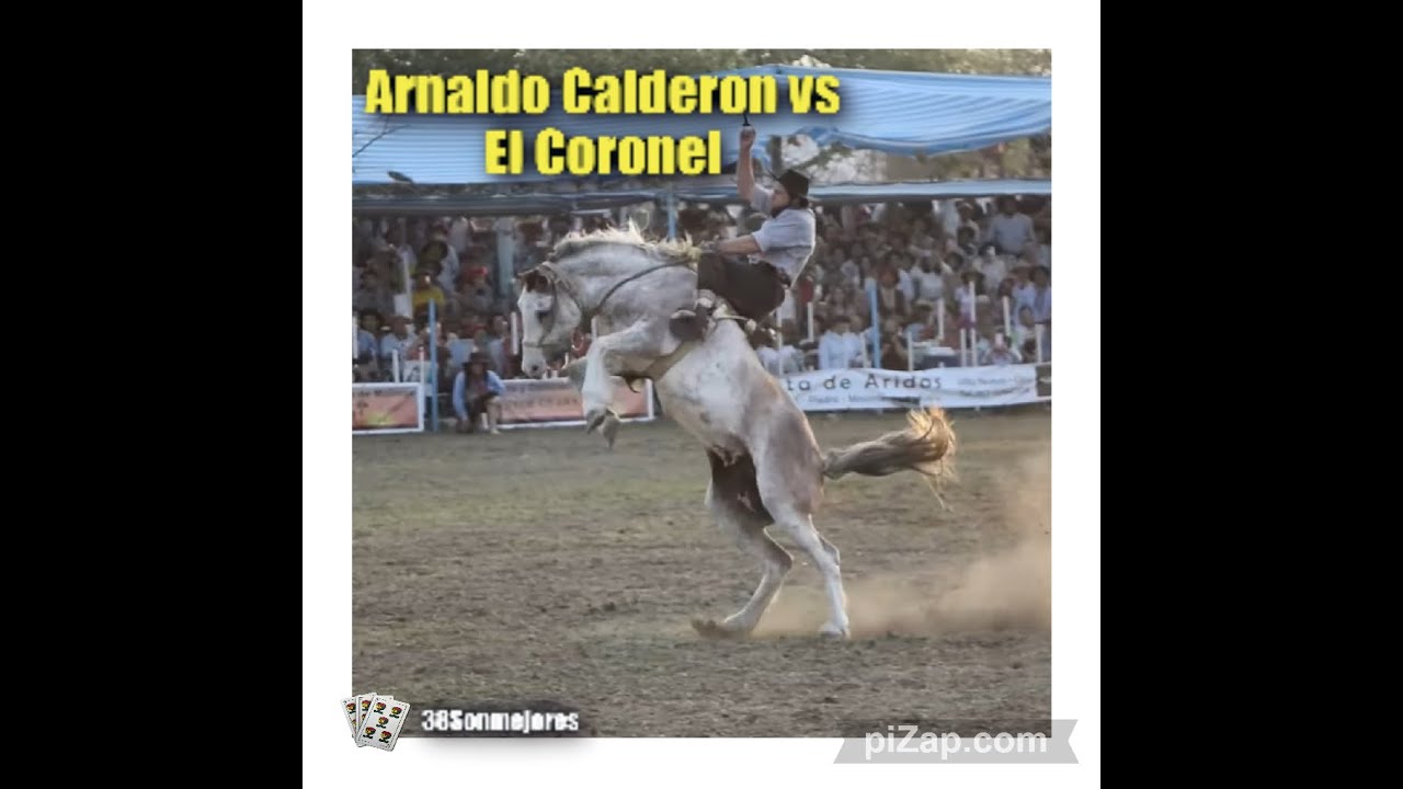 El Coronel de Enzo Vega  y Arnaldo  Calderón en LAS VARILLAS 2024