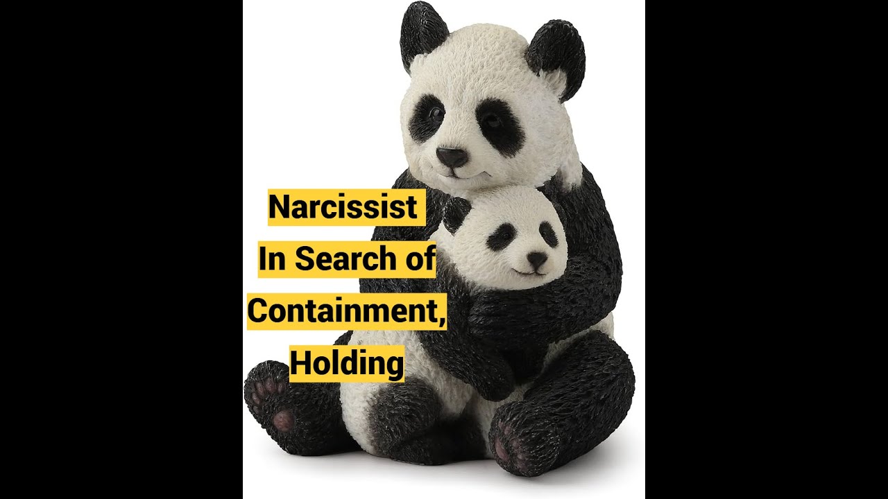Narcissist In Search of Containment, Holding