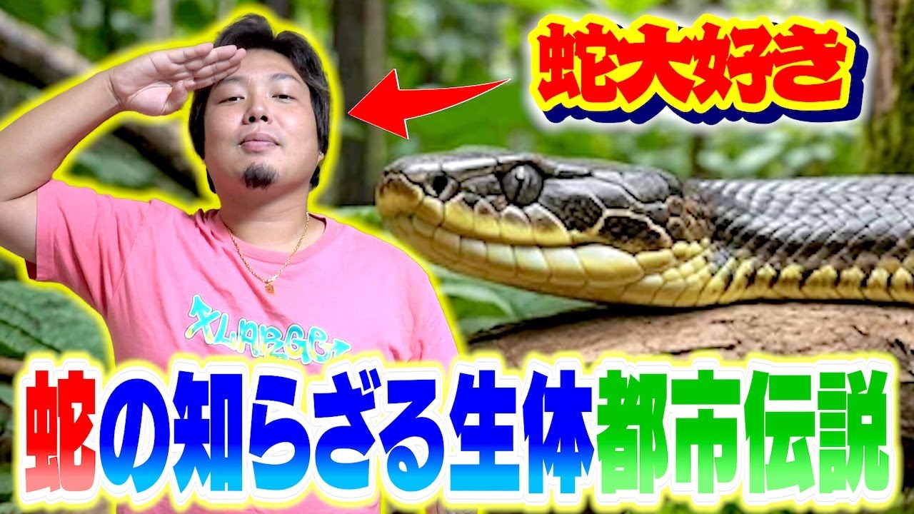 【都市伝説】蛇好きが語る意外な生体の数々がヤバい！！