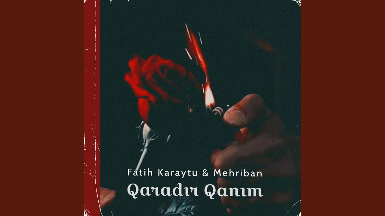 Qaradir Qanim (feat. Mehriban) (Remix)