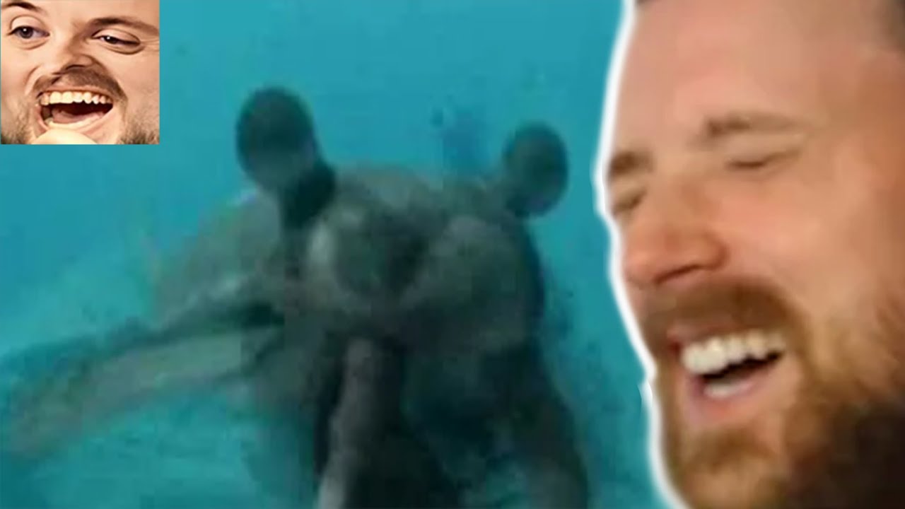 Forsen Reacts -Tribute to anomalocaris