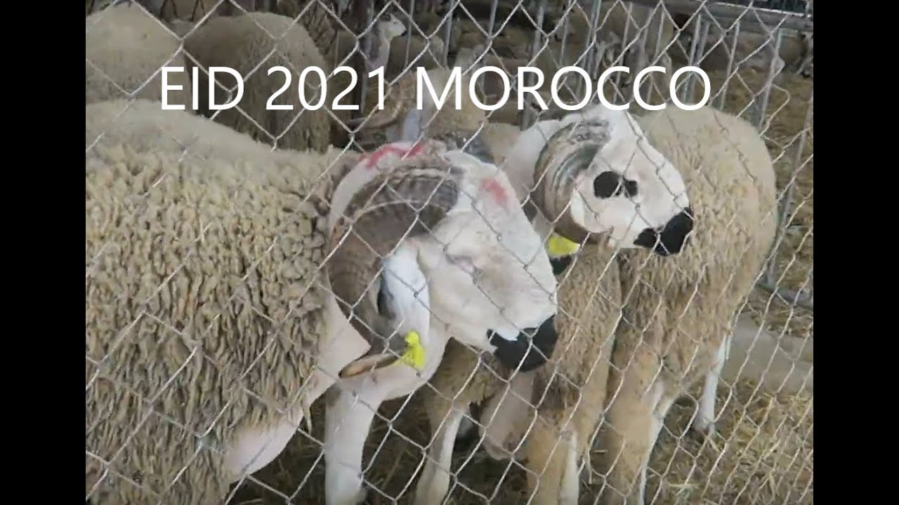 Travel Vlog June 30th to 3rd July 2021 Agadir, Morocco.  Eid Festival and Playing Pool. عيد الفطر