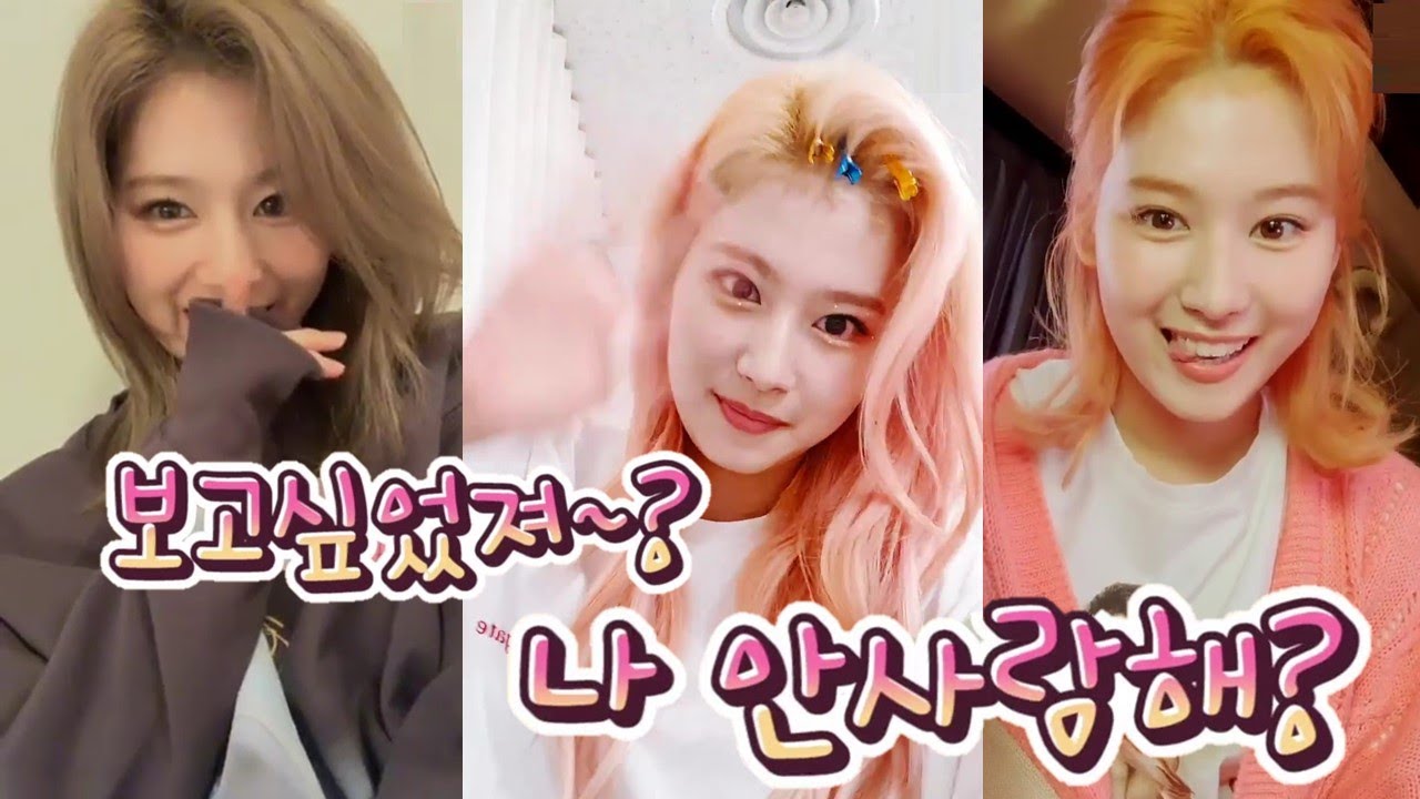 [TWICE] 트와이스 사나 - 보고싶었져?? 나 안사랑해?? - 김사나의 심장폭행