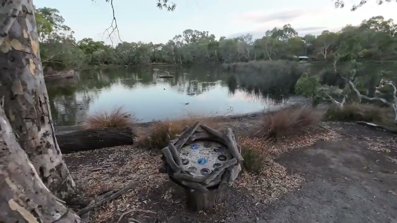 E-Scooter Wetlands Dusk Expedition (POV) #escooter #wetlands #birdwatching
