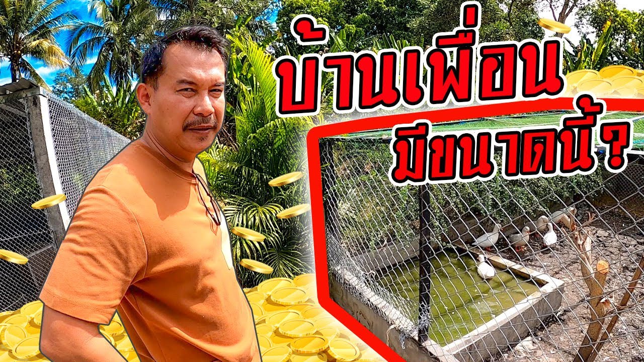 ดูสัตว์แปลกบ้านเพื่อน มีขนาดนี้เลยหรอ? Look at Exotic animals at a friend's house. Is it this big?