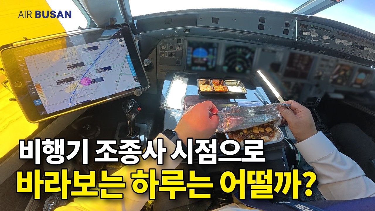 전지적 기장 시점