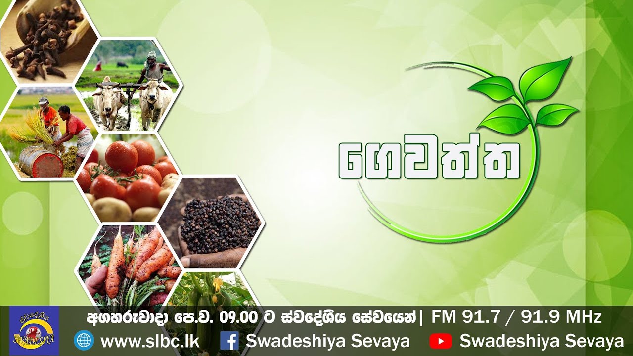 SLBC |  Swadeshiya Sevaya  | gewaththa | 2023-09-19