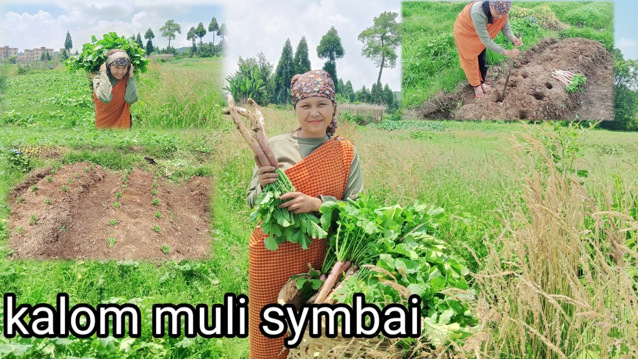 Kumno ban pynmih symbai muli?