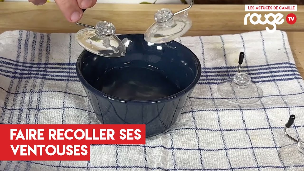 Faire que les ventouses collent à nouveau - Les Astuces de Camille