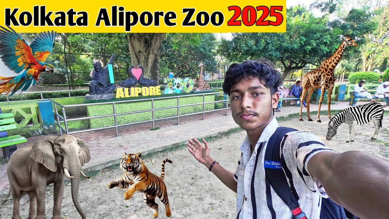 Kolkata Alipore Zoo 2025 | একদিনে ঘুরে দেখুন আলিপুর চিড়িয়াখানা | Ticket price, Timing & Location