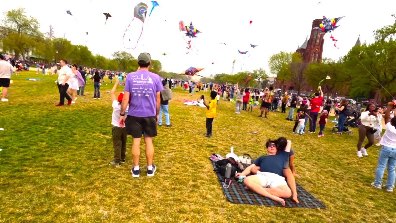 2025 Blossom Kite Festival: Washington D.C.