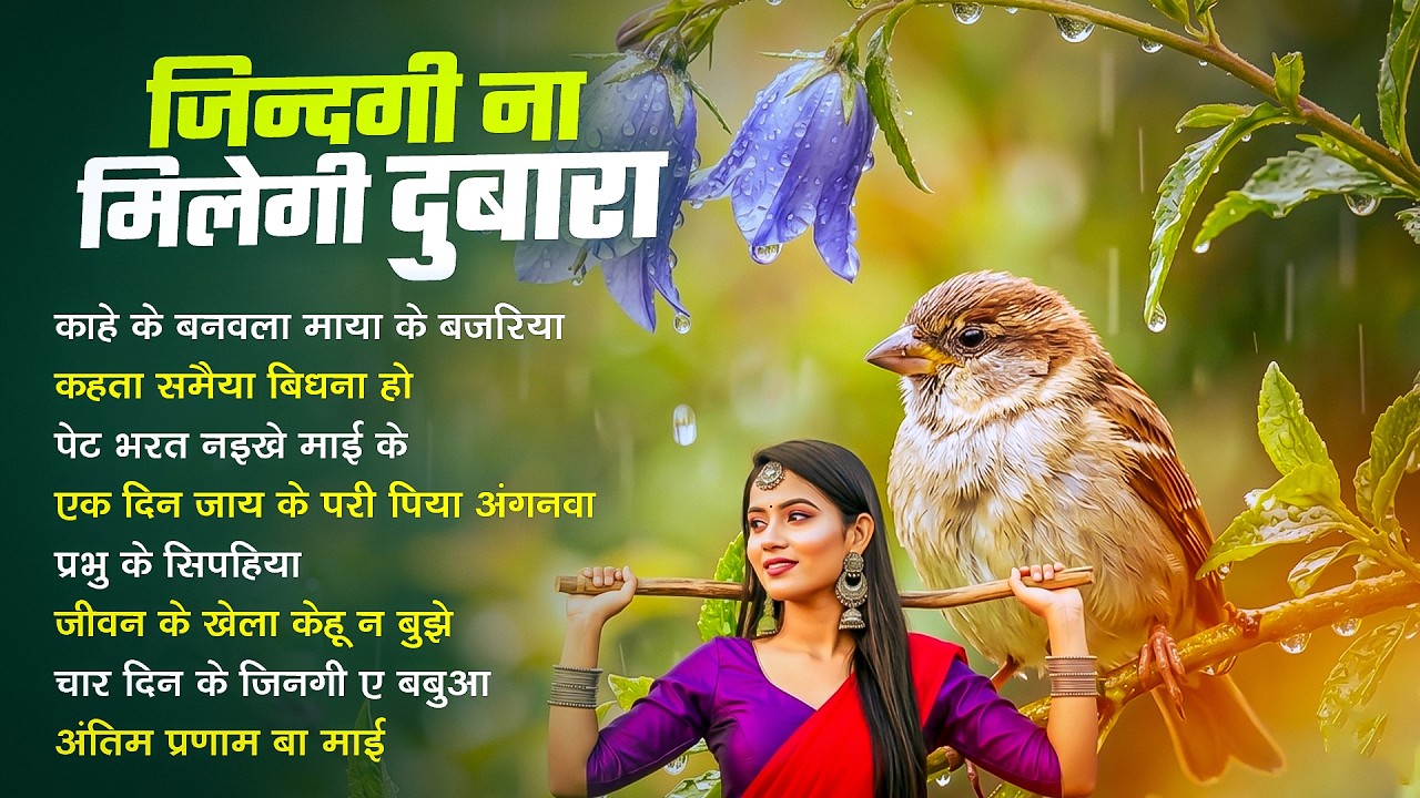 दिमाग हिला देने वाला निर्गुण भजन | Nonstop Nirgun Geet | Chetawani Bhajan 2026 | Nirgun Bhajan 2026c