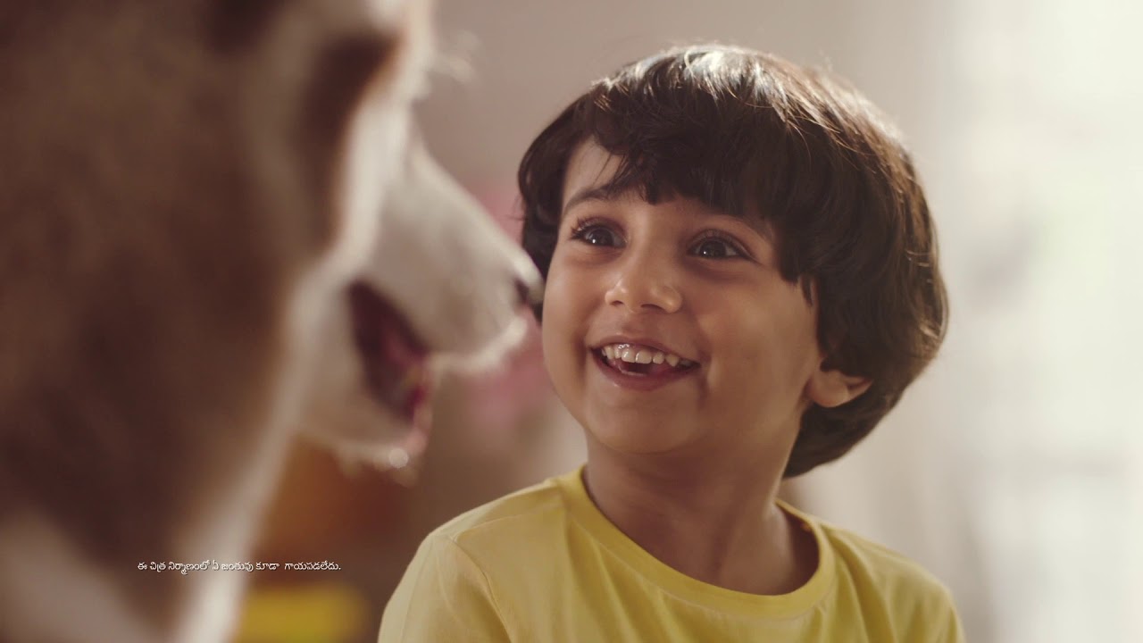 Kellogg&rsquo;s Chocos Boy & Dog&nbsp;X 30 sec Telugu