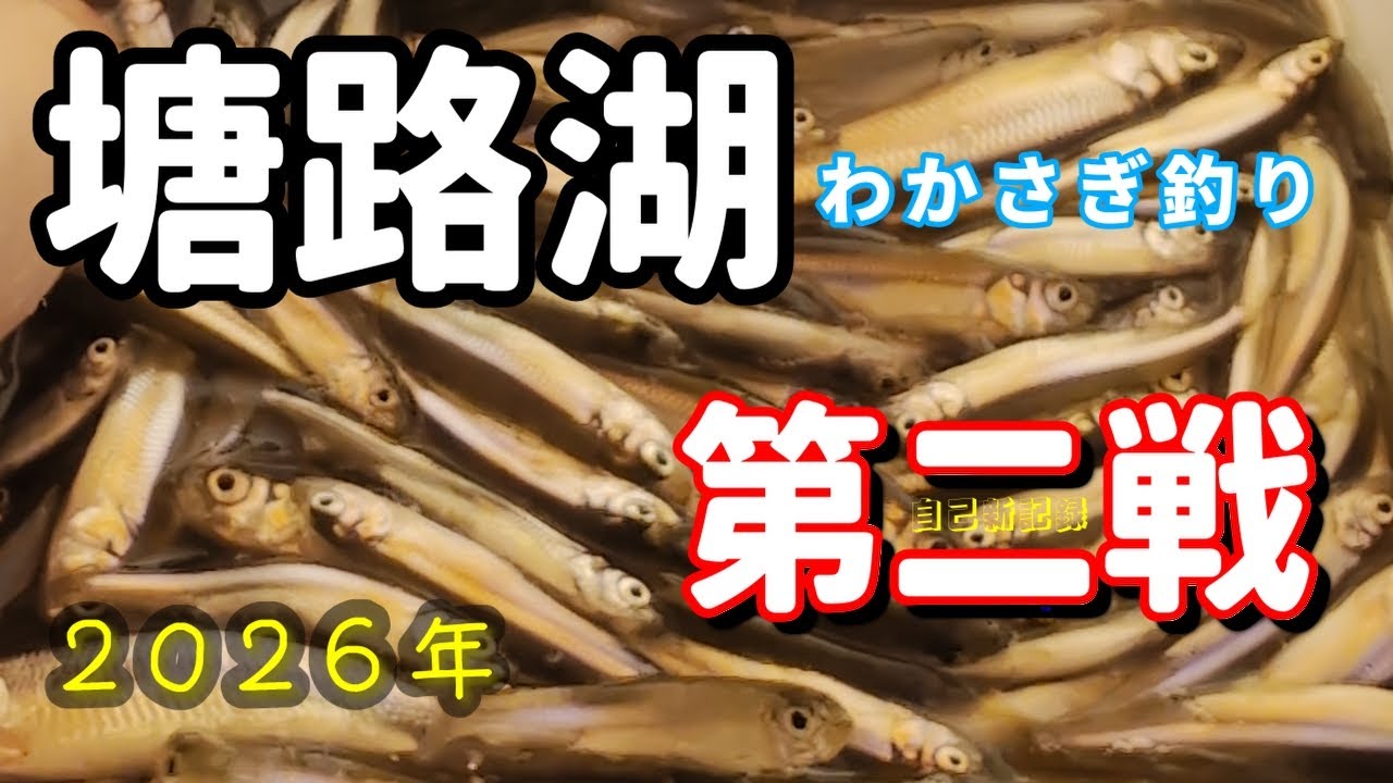 自己新記録!?  2026年1月15日　塘路湖ワカサギ釣り　第二戦
