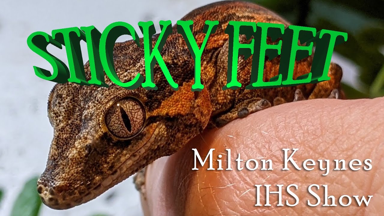 Milton Keynes IHS June 2023