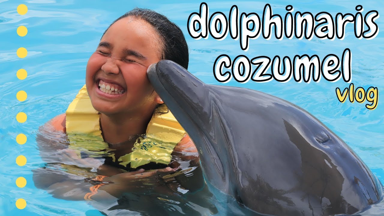 CANCUN 2021 | COZUMEL | DOLPHINARIS