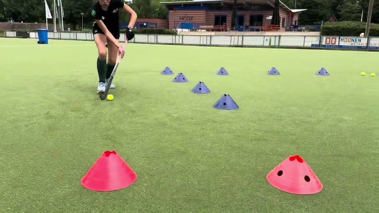 SKILLZ Hockeysupport - overzicht aan de bal