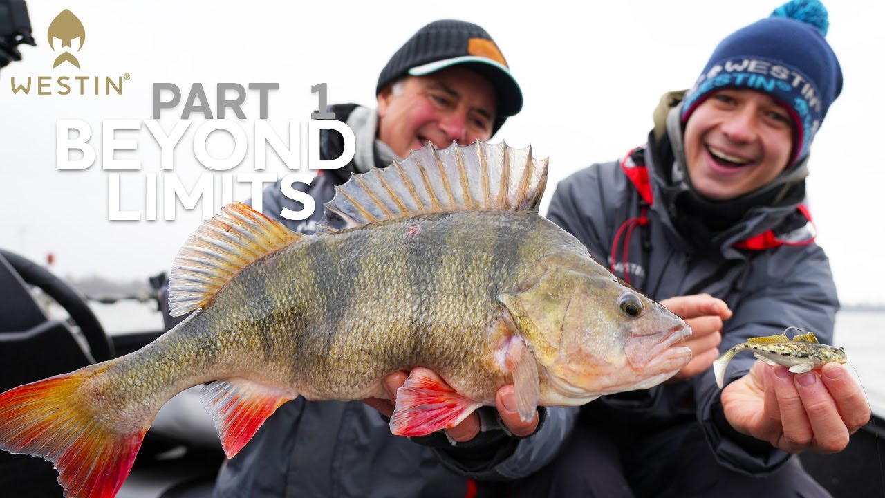 Cracking the Code - In Search for Monster Perch | Westin Fishing