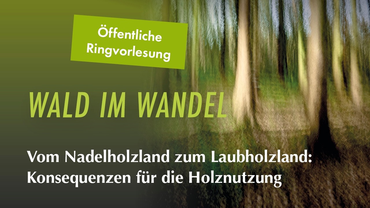Vom Nadelholzland zum Laubholzland: Konsequenzen für die Holznutzung