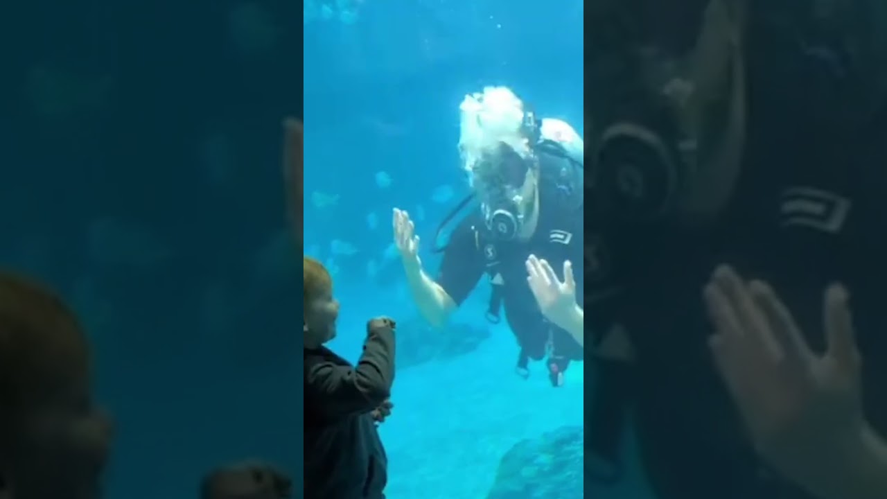 Massive Ocean Giant Surprises Aquarium Visitors in SHOCKING Moment!