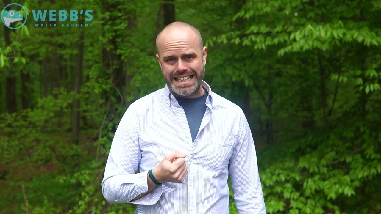 Tech Tips: Oxygen in Your Pond