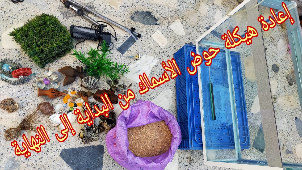 إعادة هيكلة شكل حوض أسماك الجوبي والمولي من الألف إلى الياء بالتفصيل الممل