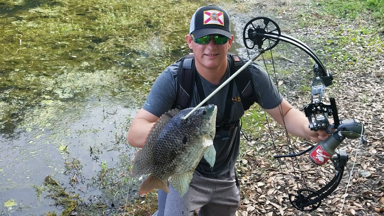 Bowfishing Tilapia Clean And Cook!!