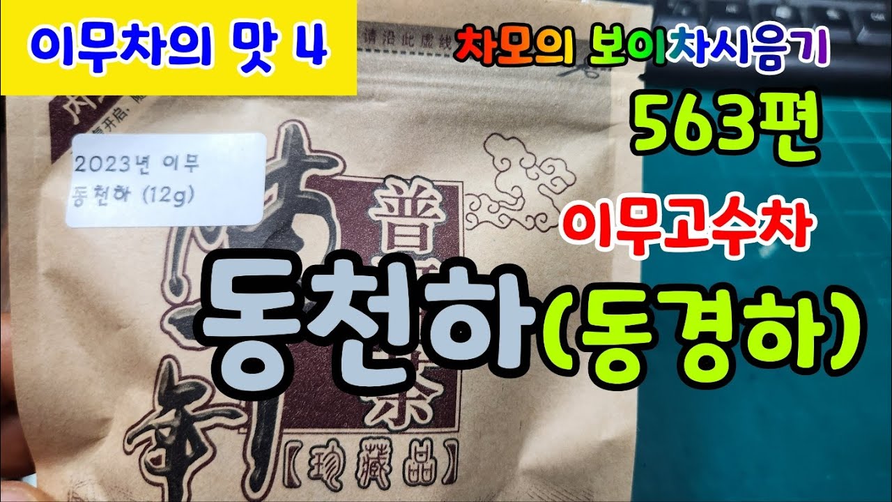 차모의 보이차시음기 563편/ 이무차의 맛 4/ 2023년 천년의향기 이무 동천하(동경하) 국유림 고수차 신차/