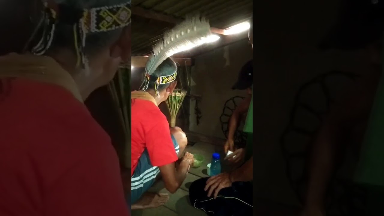 Ritual Adat Notokng #shorts # #adatdayak