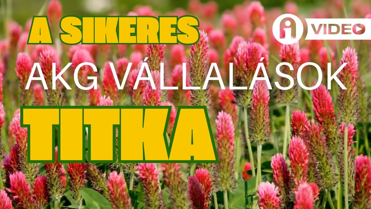 AKG zöld ugar egyszerűen!