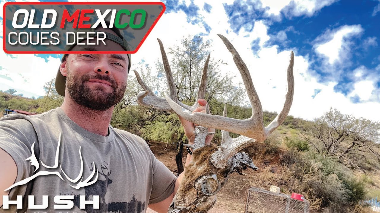 OLD MEXICO | GIANT BUCK DEAD HEAD E02