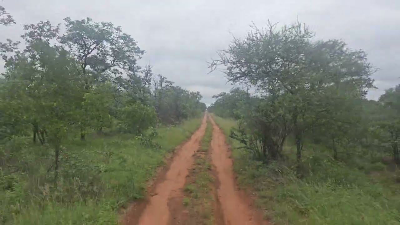 POV: Riding Through the African Wilderness on Safari in Botswana