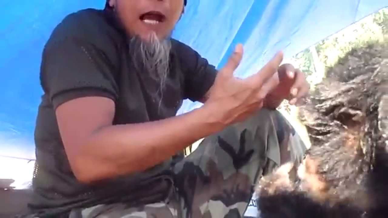 Nak Tahu ini Sifat Ungka