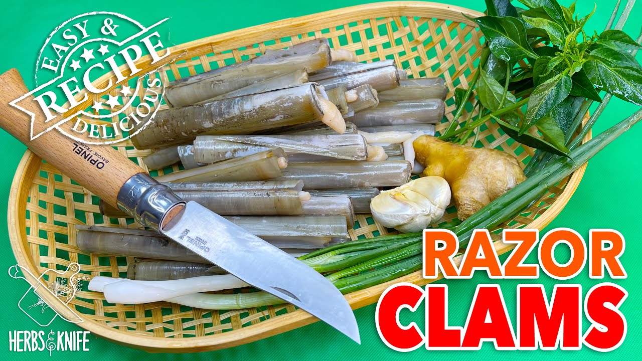How to clean and cook Razor clams