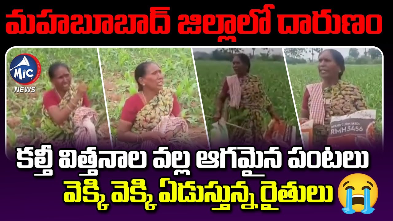 కల్తీ విత్తనాల దెబ్బకు వెక్కి వెక్కి ఏడుస్తున్న రైతులు😭 | Fake Seeds in Mahabubabad | Farmers Crying