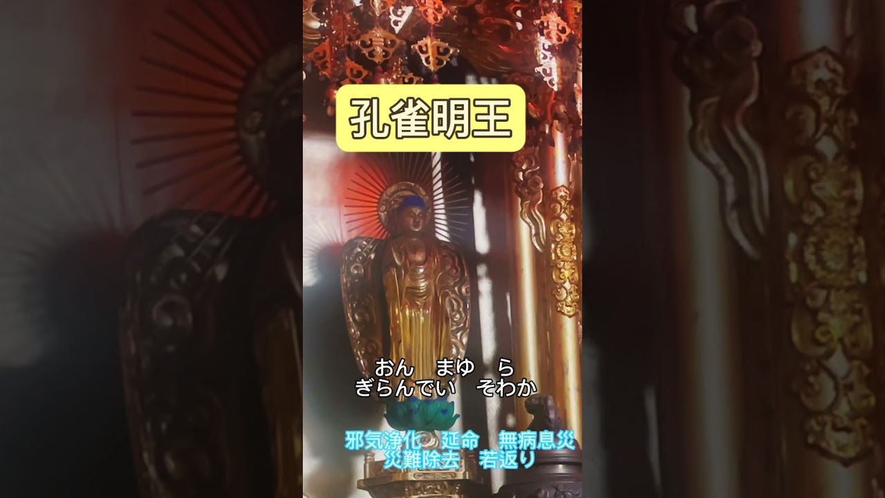 孔雀明王真言 #邪気浄化 #延命 #無病息災 #災難除去 #若返り