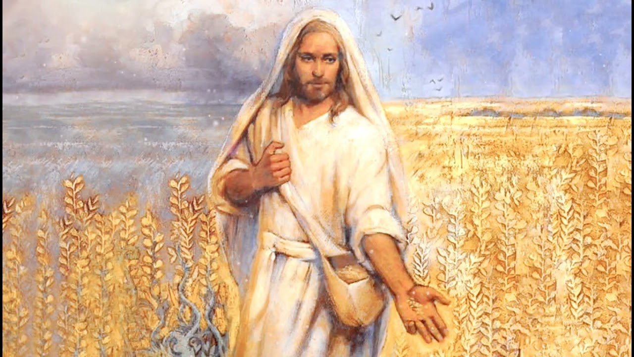O Dio dell'universo (Zardini)