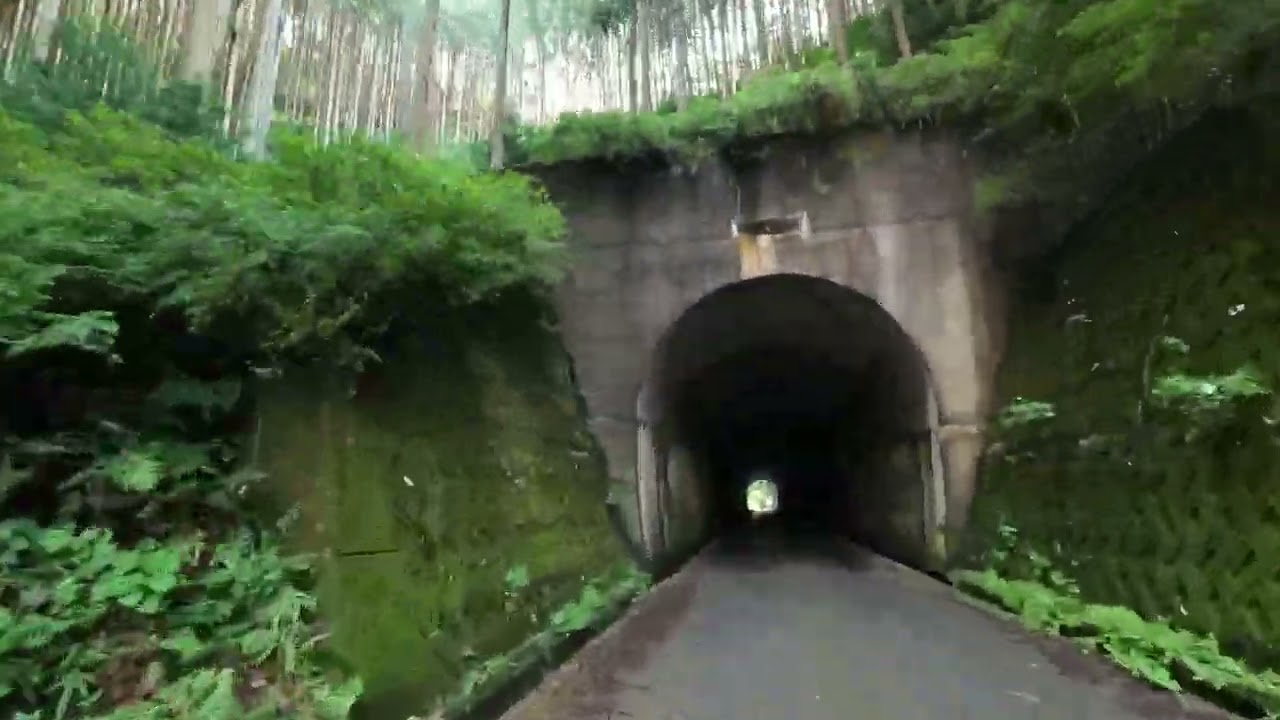 【心霊スポット】関西・大阪で最恐と言われる滝畑ダムの第三トンネル・梨の木隧道＆塩降隧道に行ってみた