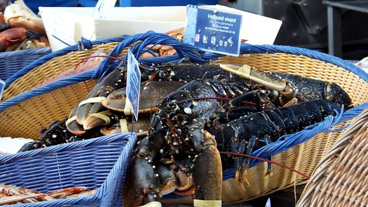 Visite de Port-en-Bessin et ses alentours - Les gîtes de Maryline