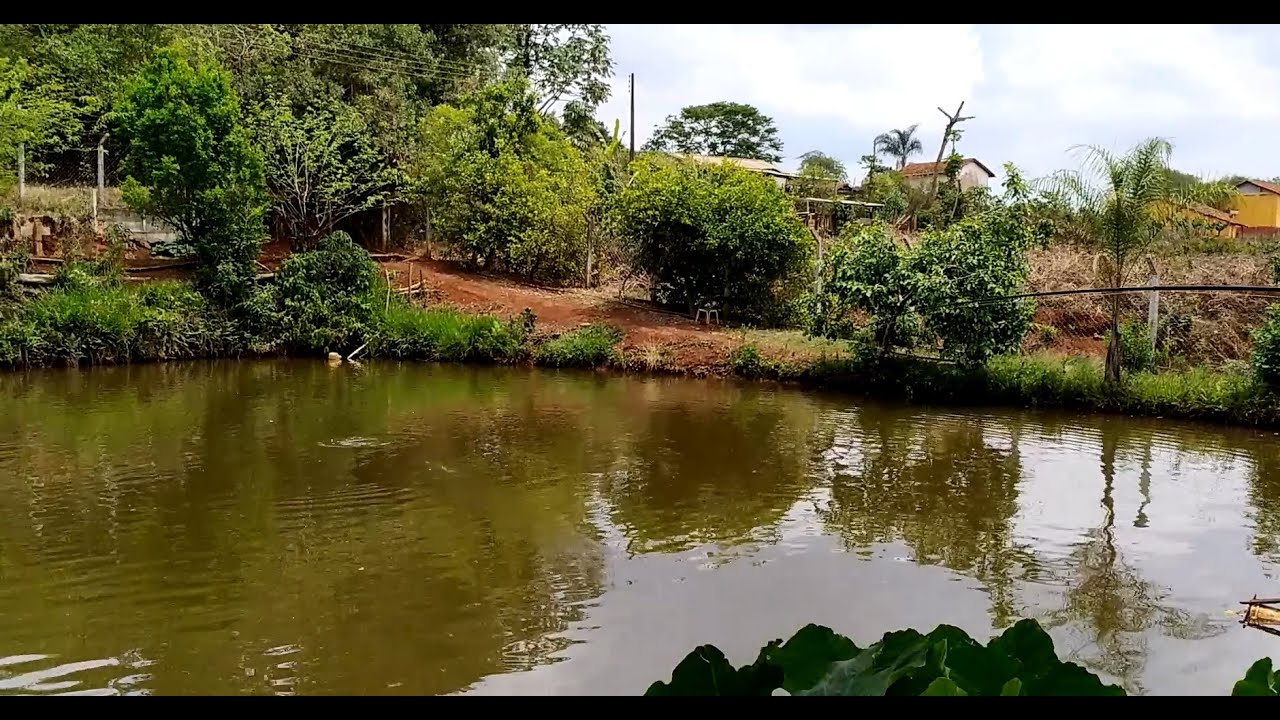 Lugar Lindo Sitio Rancho Alegre mina de arvores animais hortaliças frutas animais reserva MG