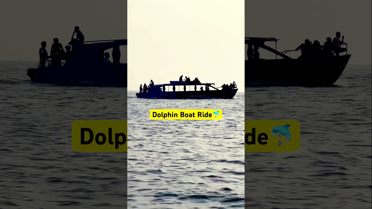 Dolphin Boat Ride in OM Beach 🏖️ #gokarna #2025 #ombeach #shorts #shortsfeed #trending #viralvideo