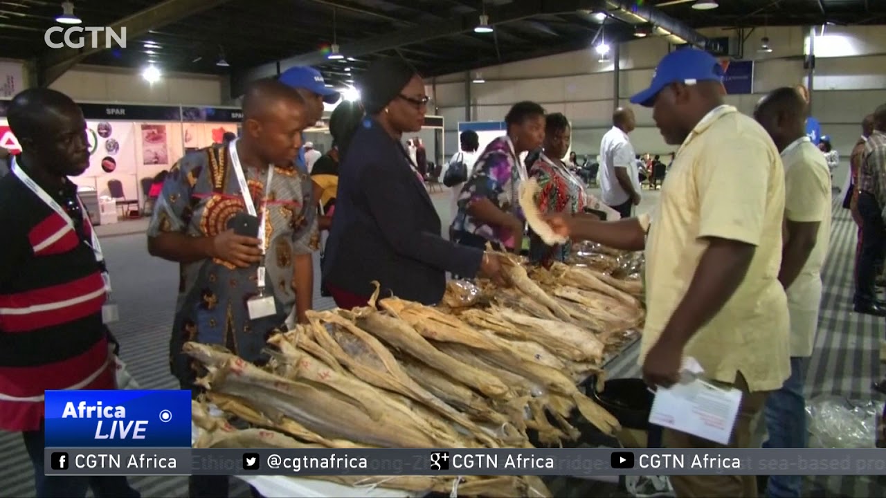 Nigeria imports Norwegian seafood worth $125 million yearly