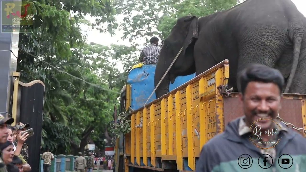 ಮೈಸೂರು ದಸರಾ ಗಜಪಡೆ ನಮ್ಮ ಅರಣ್ಯ ಭವನಕ್ಕೆ ಆಗಮಿಸಿರುವ ಗಜಪಡೆ ಅತಿಥಿಗಳು welcome to gajapade families #Mysore 