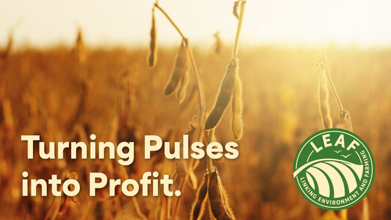 LEAF Surgery S4.Ep3 | Turning Pulses into Profit